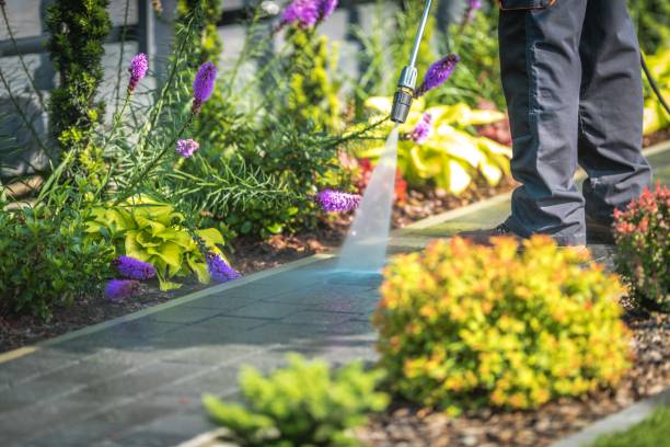 Best Gutter Cleaning  in Laurel Hollow, NY